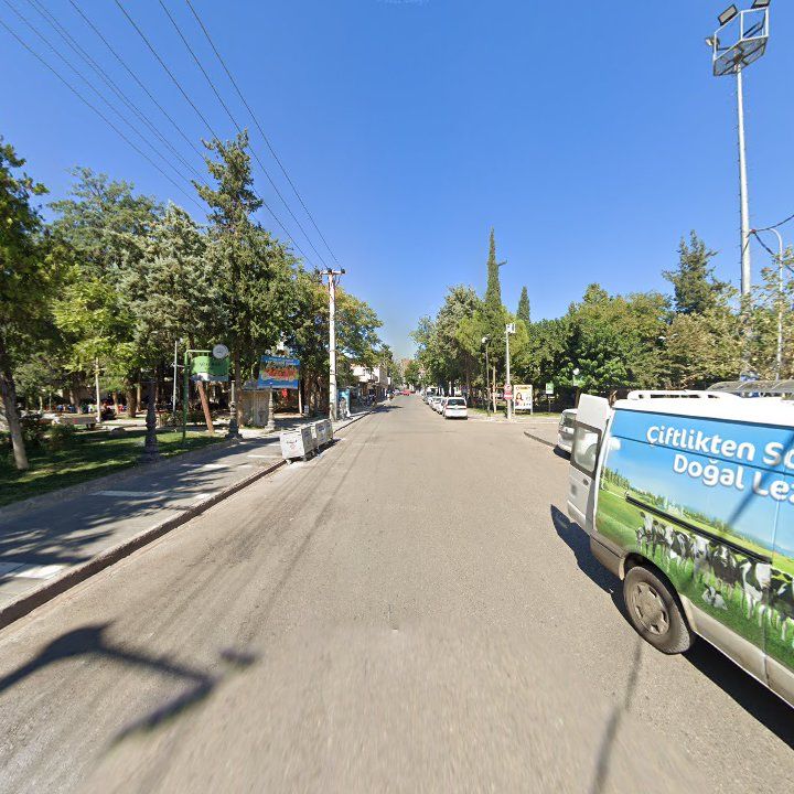 Fotoğraf 8