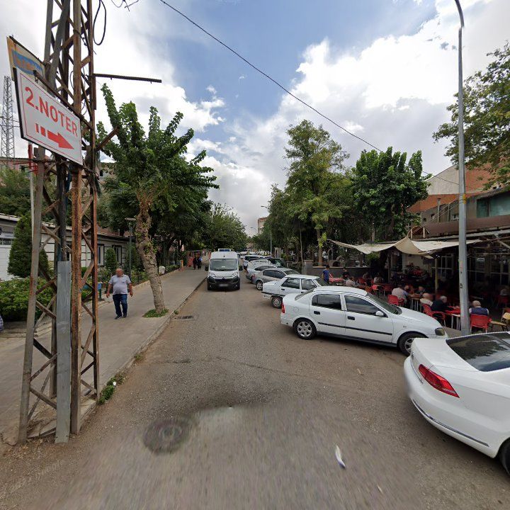 Fotoğraf 10