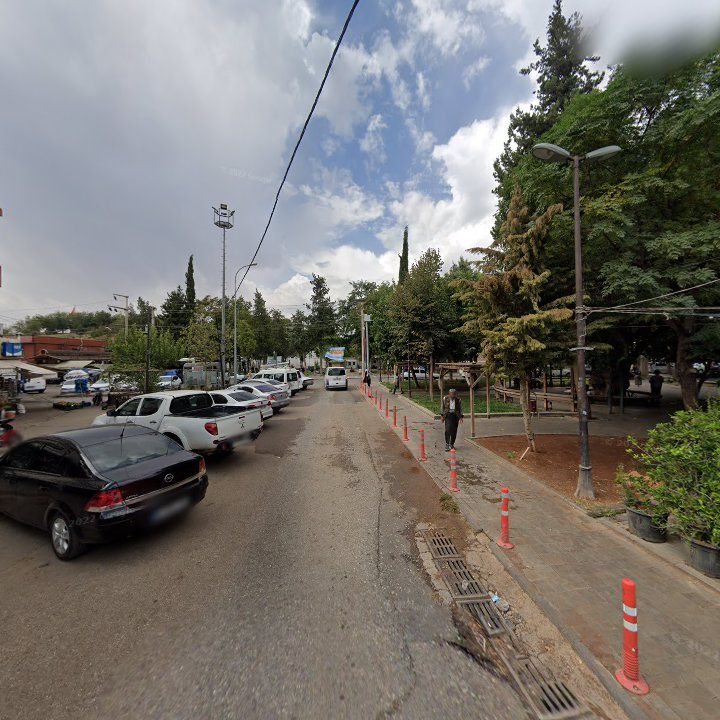 Fotoğraf 8