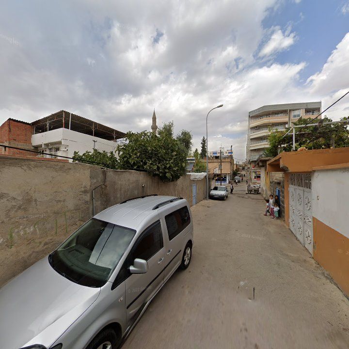 Fotoğraf 6