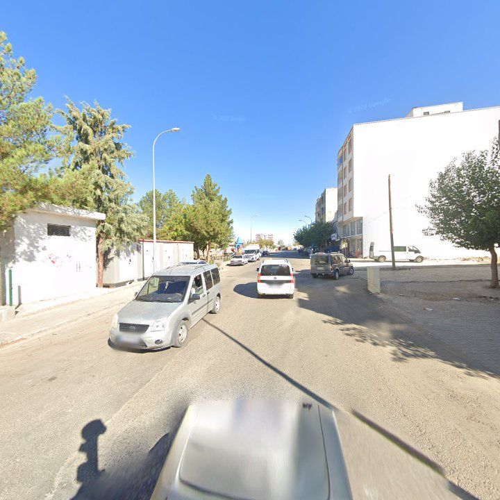 Fotoğraf 7