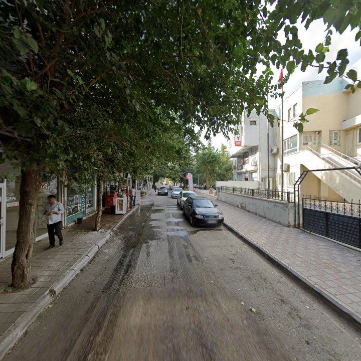 Fotoğraf 10