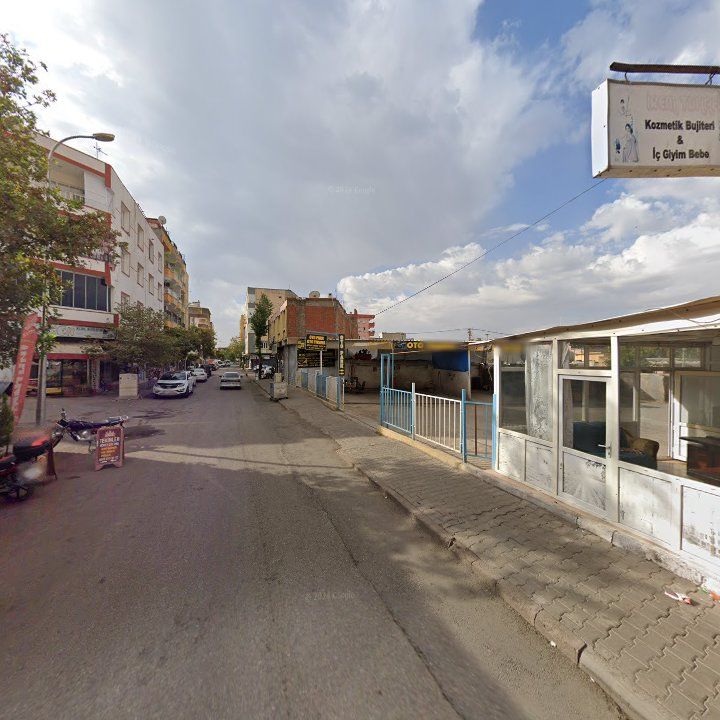 Fotoğraf 8