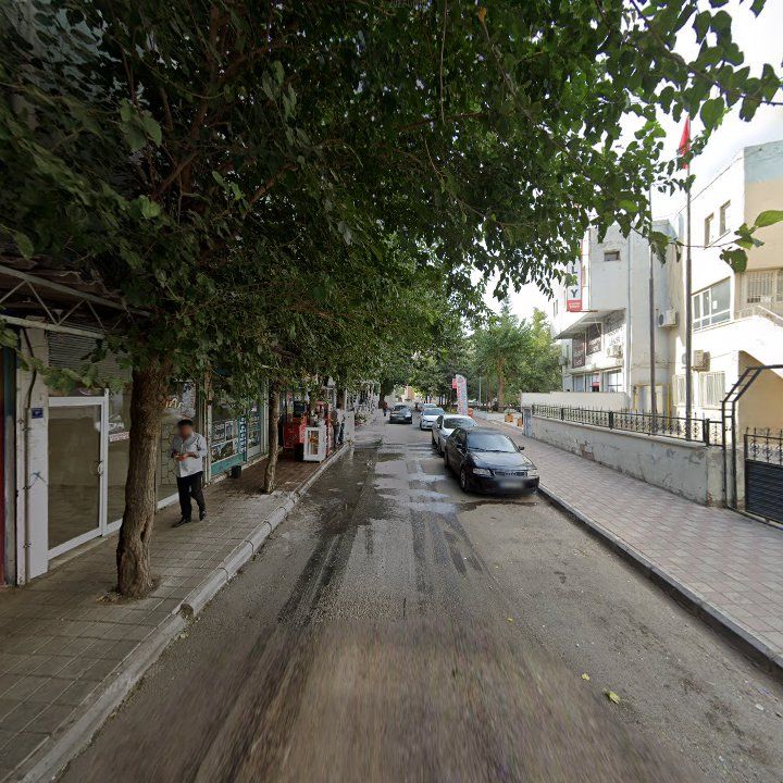 Fotoğraf 6