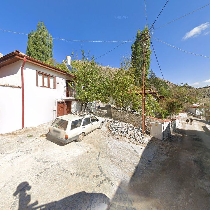 Fotoğraf 7