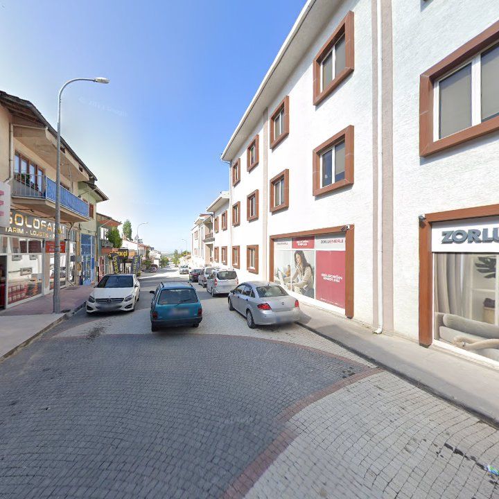 Fotoğraf 15
