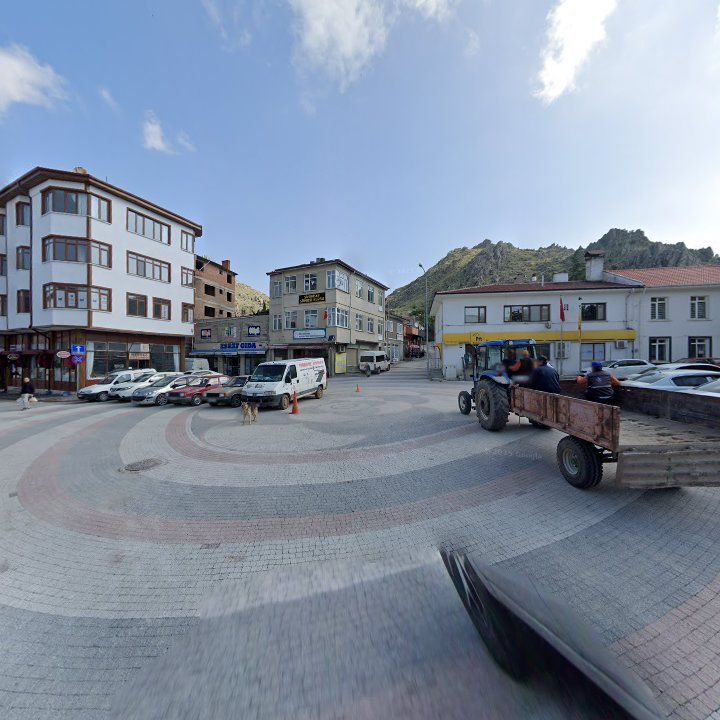 Fotoğraf 8
