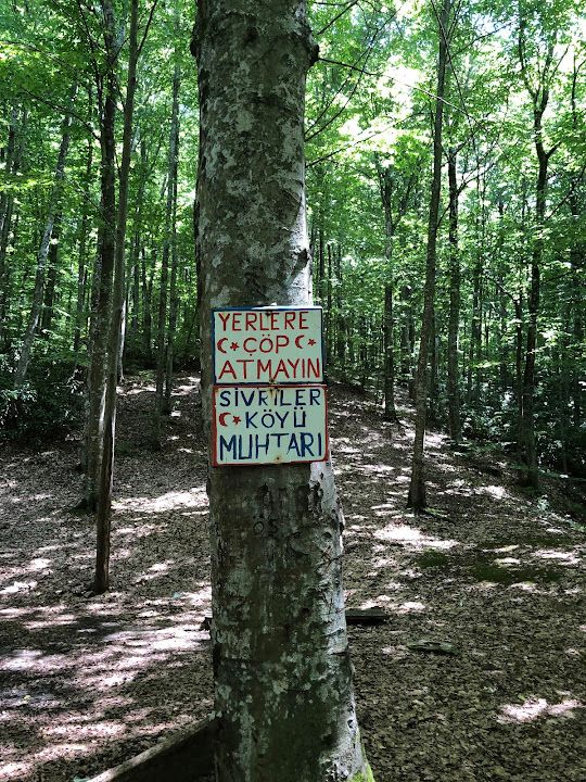 Yorum fotoğrafı 7
