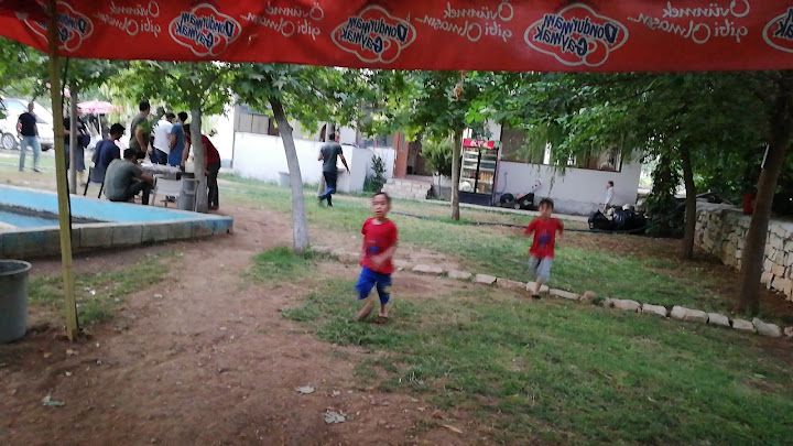 Yorum fotoğrafı 4
