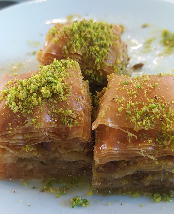 Fotoğraf 31