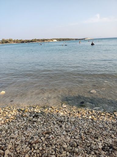 Fotoğraf 12