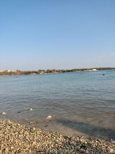 Fotoğraf 13