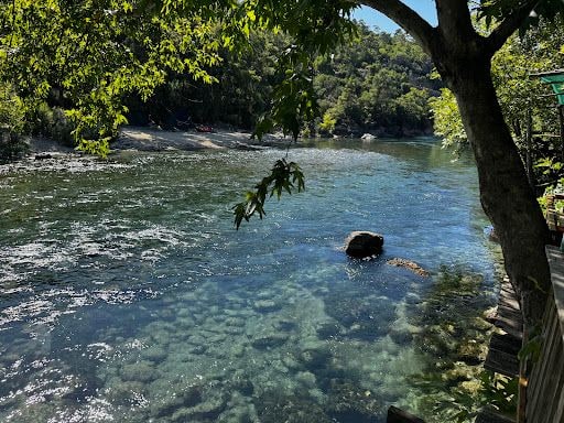 Fotoğraf 33