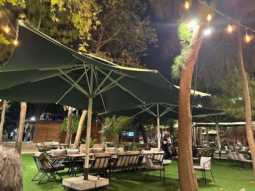 Fotoğraf 31