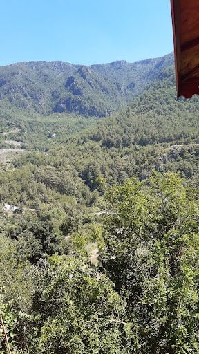 Yorum fotoğrafı 4