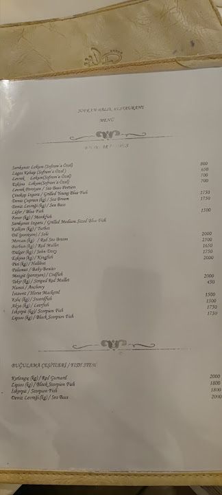Fotoğraf 29