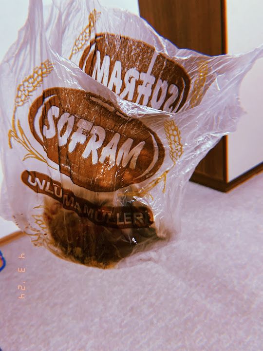 Fotoğraf 15