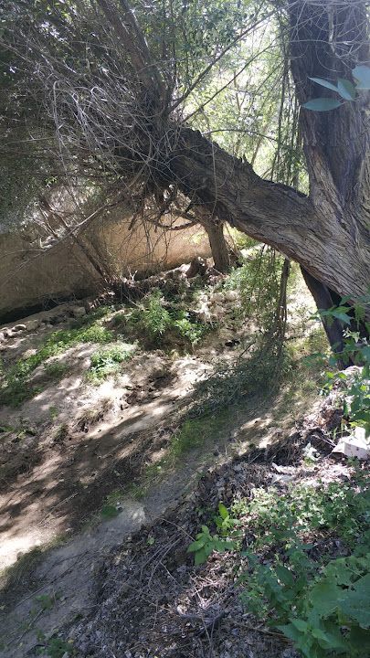 Yorum fotoğrafı 4