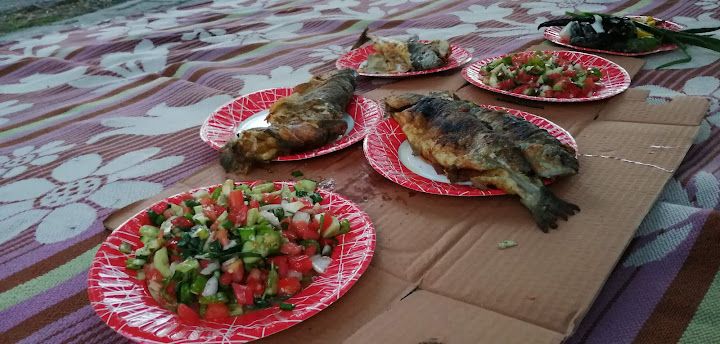 Fotoğraf 14