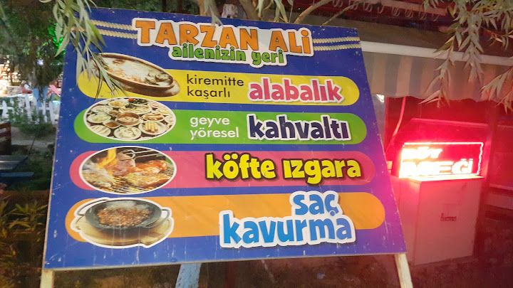 Fotoğraf 37