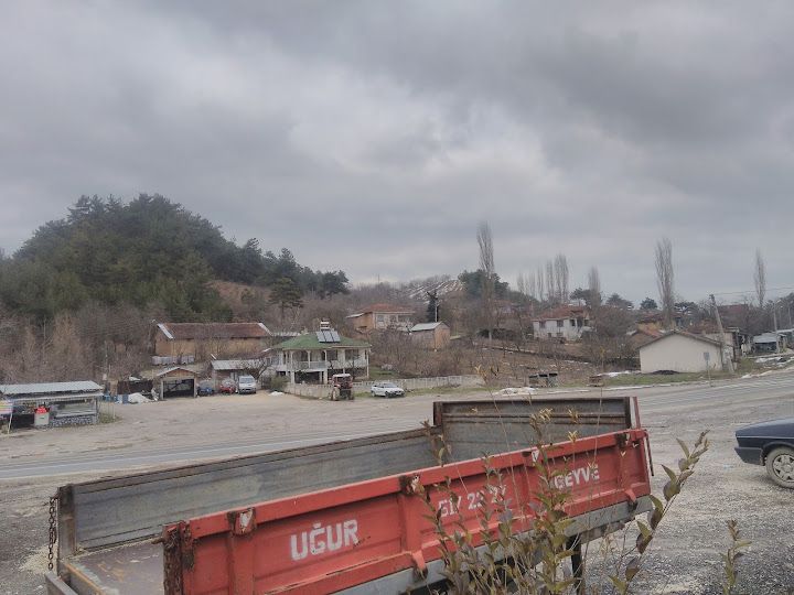 Fotoğraf 50