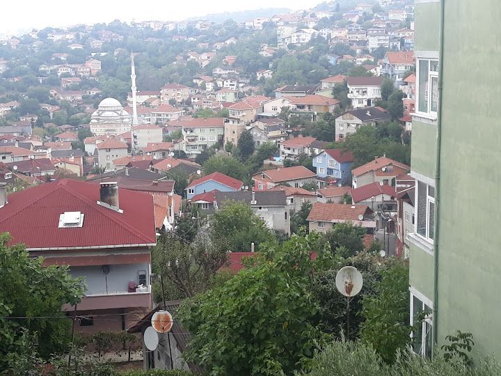 Yorum fotoğrafı 2