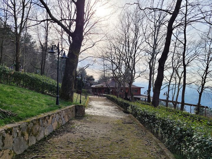 Fotoğraf 15