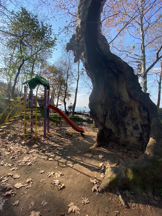 Fotoğraf 24
