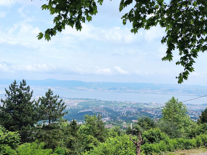 Fotoğraf 41