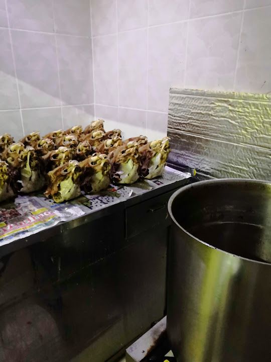 Fotoğraf 18