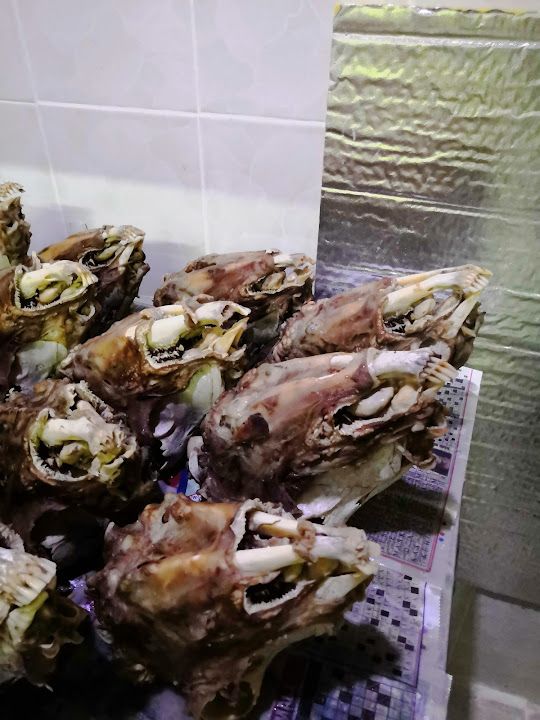 Fotoğraf 15