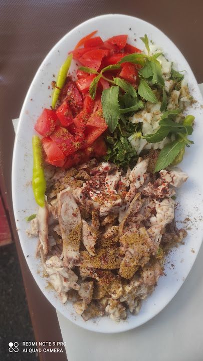 Fotoğraf 11