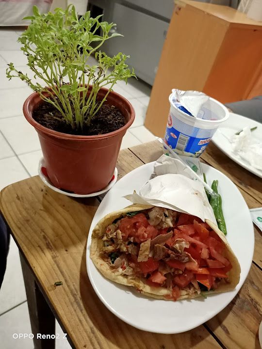 Fotoğraf 15