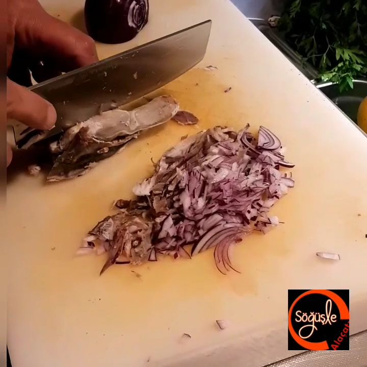 Fotoğraf 31