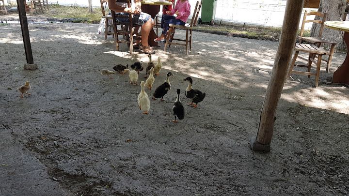 Yorum fotoğrafı 3