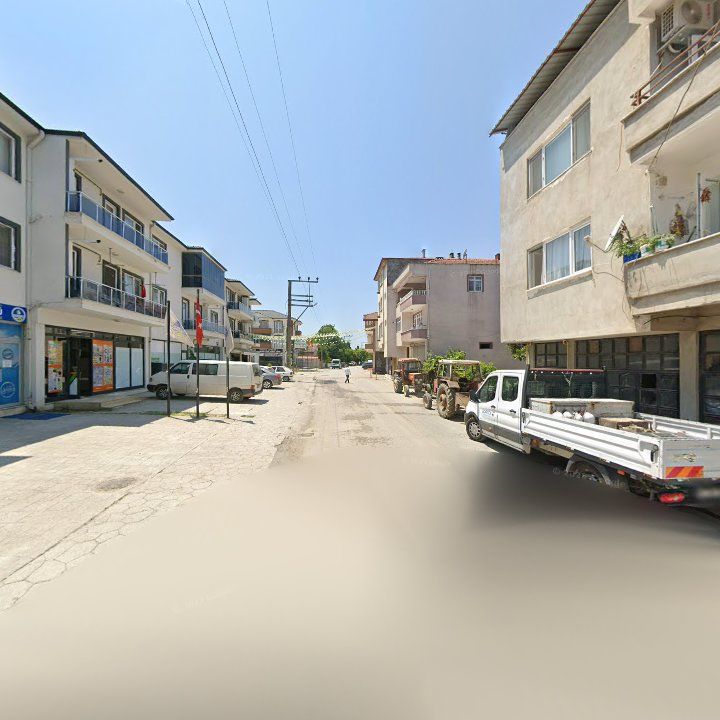 Fotoğraf 10