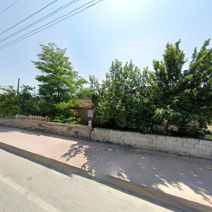 Fotoğraf 7