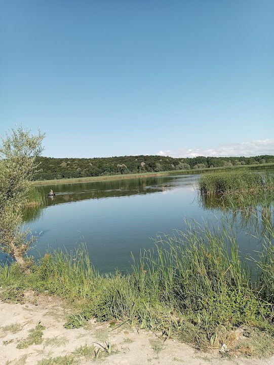 Söğütlü Akgöl