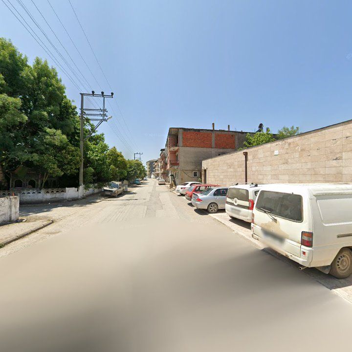 Fotoğraf 5