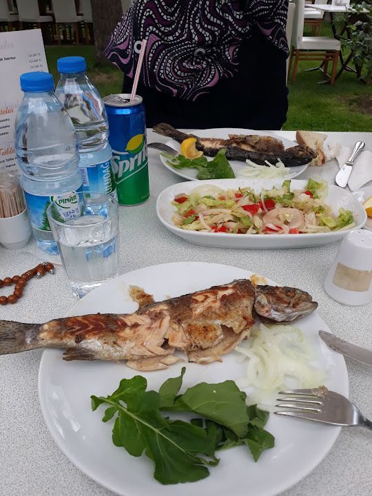 Fotoğraf 42