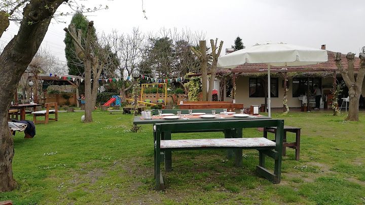 Fotoğraf 33