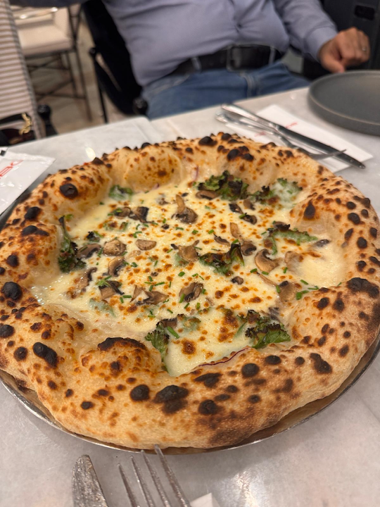 Fotoğraf 31