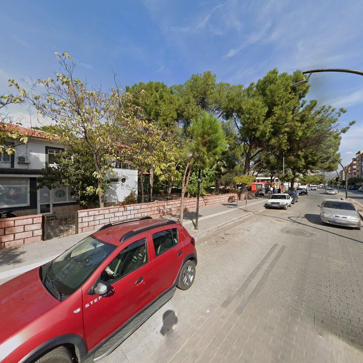 Fotoğraf 10