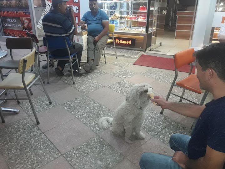 5 Yol Pastanesi