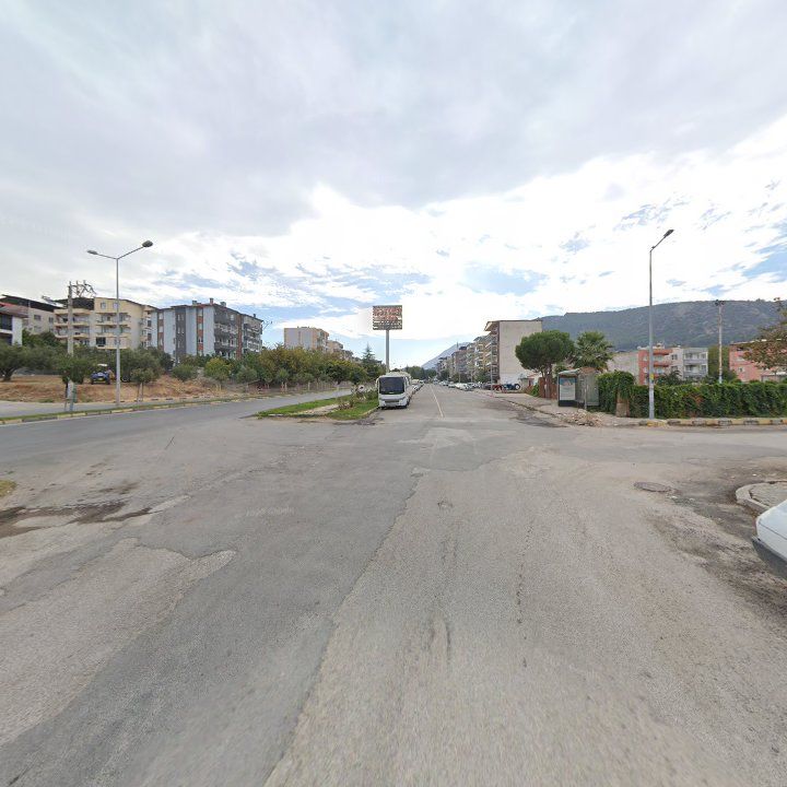Fotoğraf 10