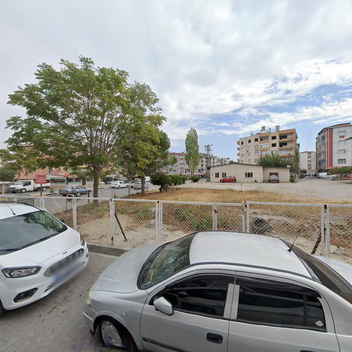 Fotoğraf 8