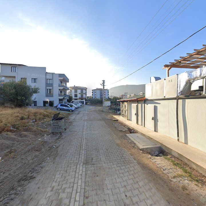 Fotoğraf 8