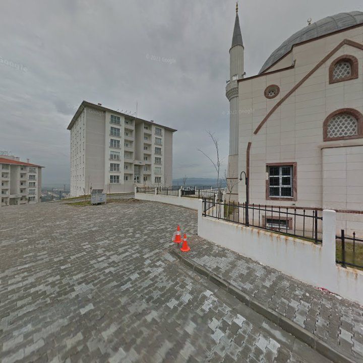 Fotoğraf 10