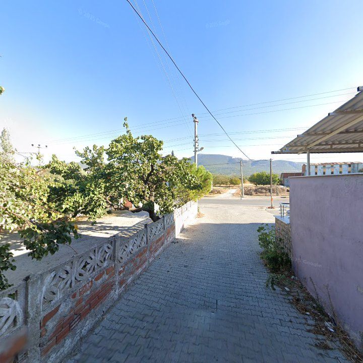 Fotoğraf 7