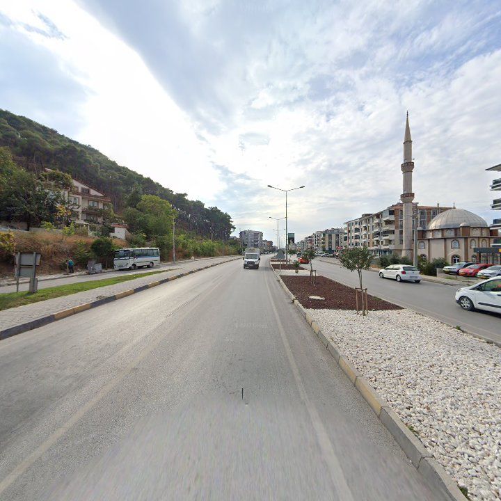 Fotoğraf 8